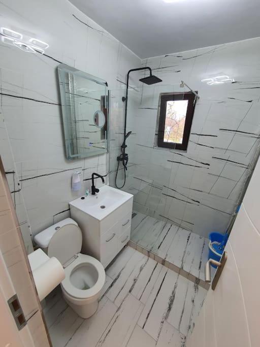 Iasi City - Central Apartment エクステリア 写真