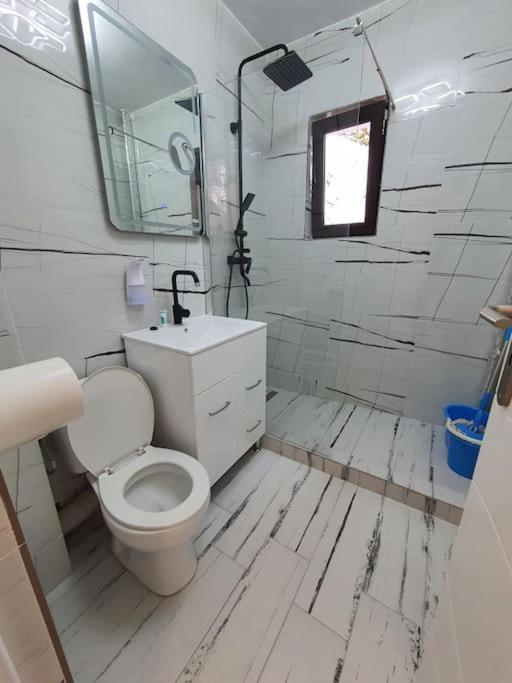 Iasi City - Central Apartment エクステリア 写真