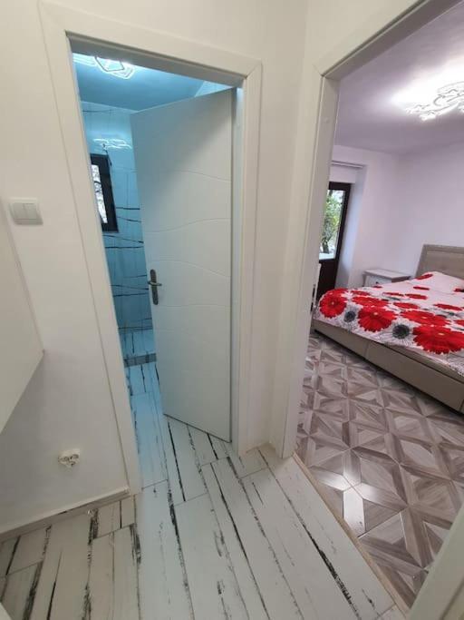 Iasi City - Central Apartment エクステリア 写真